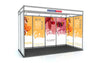 Schéma de coque Exposition Graphiques uniquement - 2m x 4m