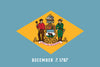 Delaware State Flag