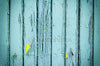 Blue Weathered Wooden Planks Print Photography Backdrop