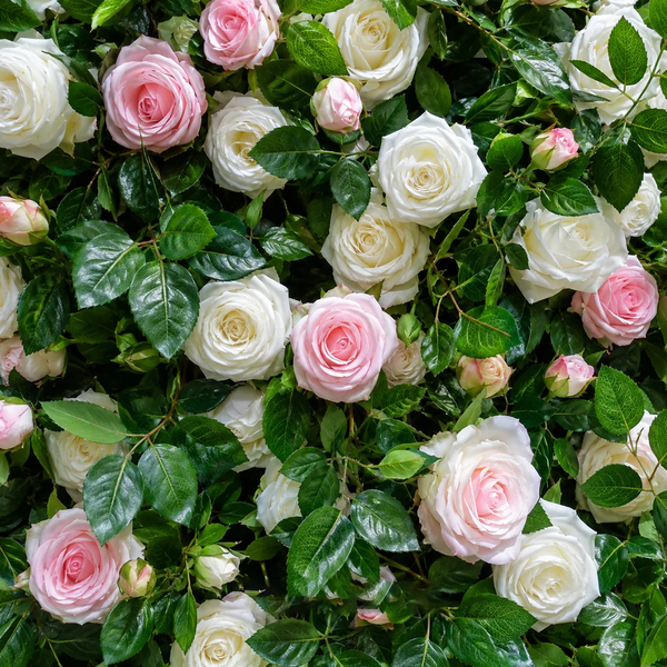 Mur de fleurs artificielles pour événement – Style 44