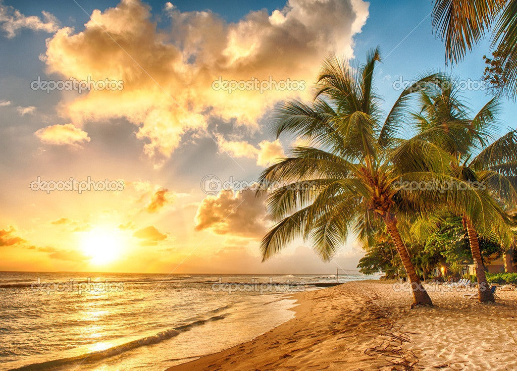 Barbados Shine Summer Theme Print Photography Backdrop