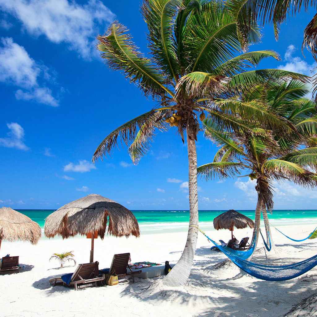 Beautiful Caribbean Beach