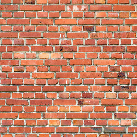 Old Red Brick Wall Backdrop