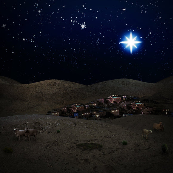 Christmas Bethlehem Night Scene Background
