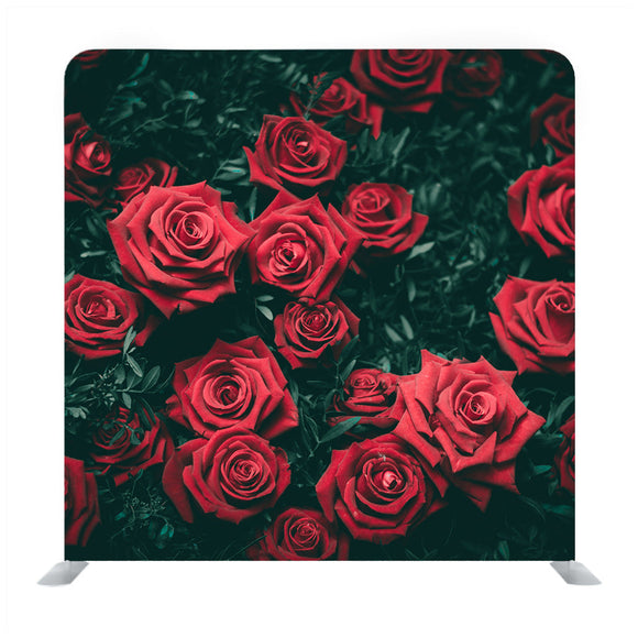 Bunch Of Red roses Backdrop