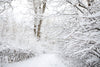 Snow Landscape Print Photography Backdrop
