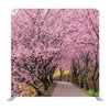Cherry Blossoms In Wuling Farm Background Media Wall