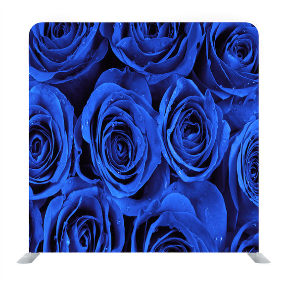 Fresh Blue Roses Background Media Wall