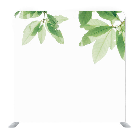 Green and White leaf Media wall