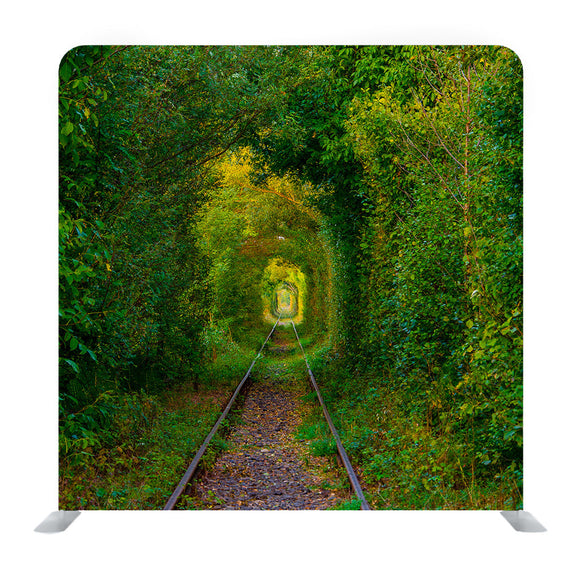 Green Tunner In The Forest Background Media Wall