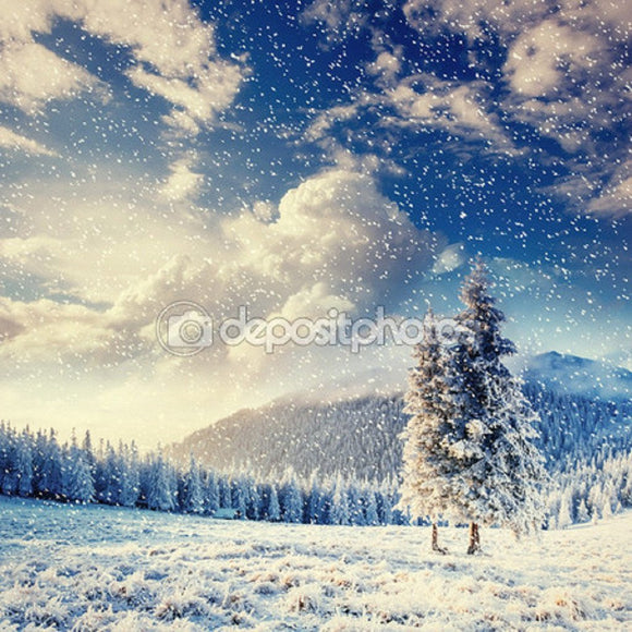 Landscape Winter Snow Trees Background