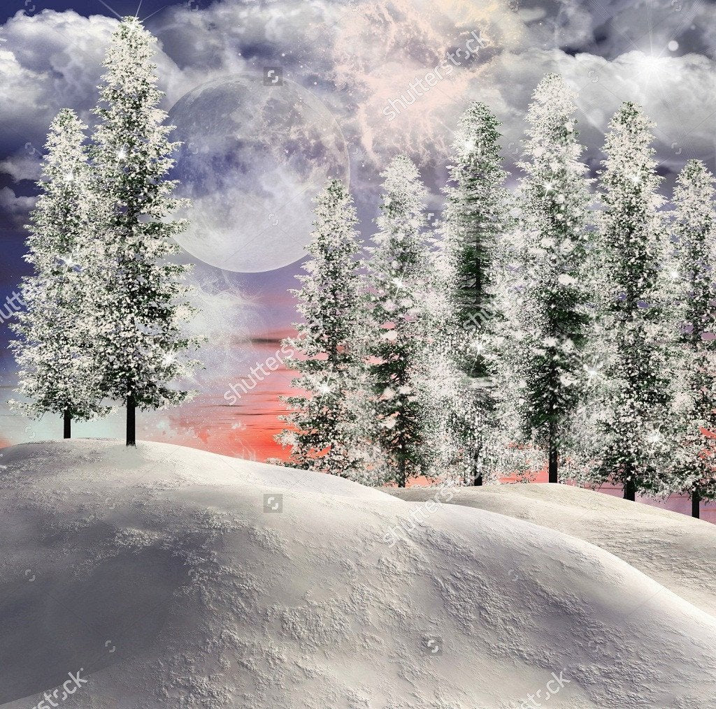 Lighted Winter Scene Landscape  Backdrop