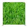 Natural Green Grass Background