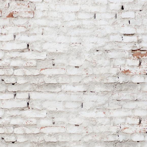 Old White Brick Wall Backdrop