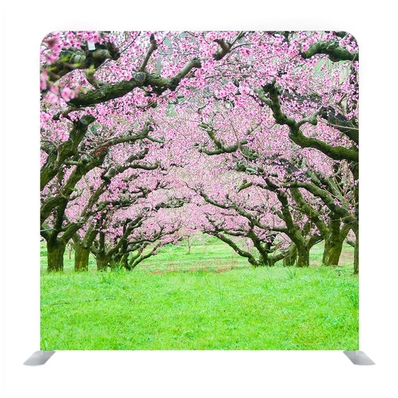 Pink Flowers Trees Tunnel Background Media Wall