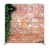 Red Brick wall with green lead Media wall