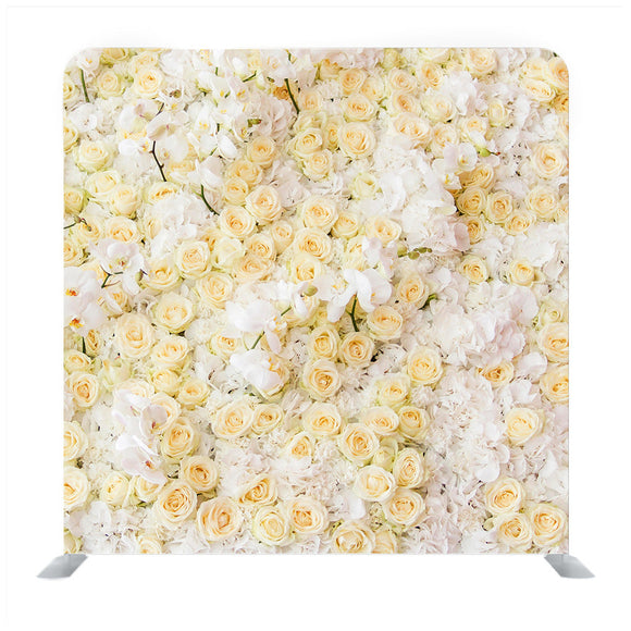 Rose Flowers Media Wall