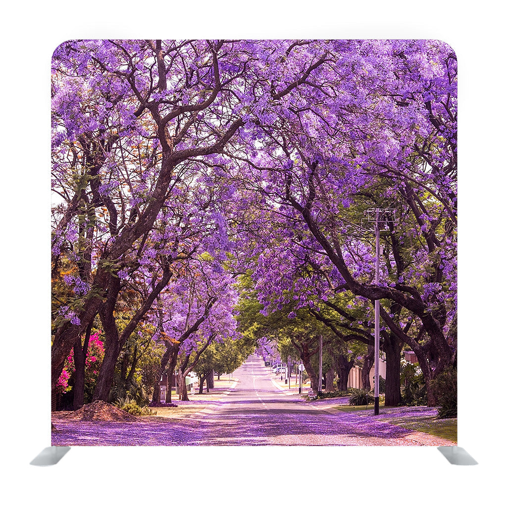 Stunning Alley With Wonderful Vibrant Purple Jacaranda In Bloom Background