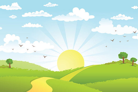 The Road in Green Field Background
