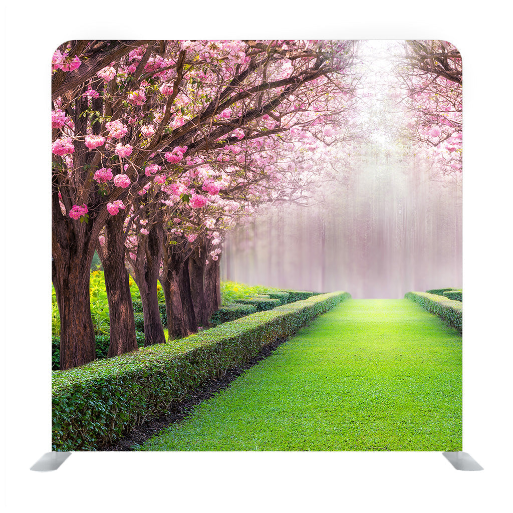 The Romantic And Beautiful Tunnel Of Pink Flower Tree, Pink Trumpet Tree Background Media Wall