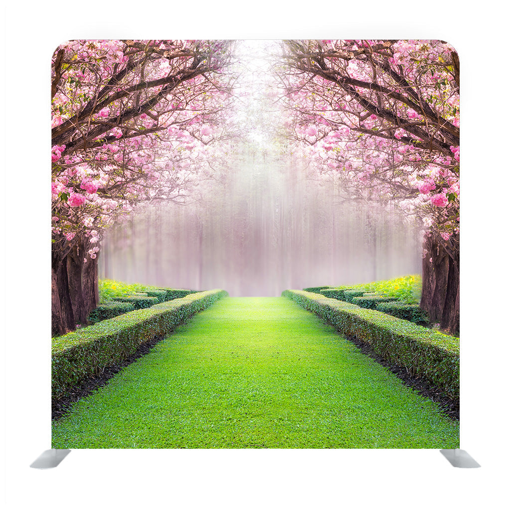 The Romantic Tunnel Of Pink Flower Tree Pink Trumpet Tree Background Media WAll