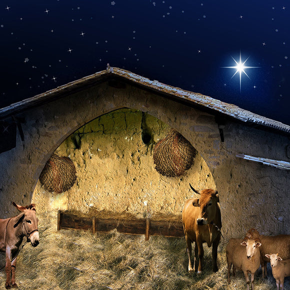 Christmas Stable Background