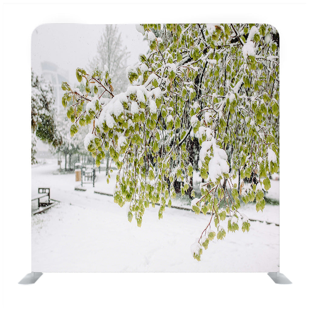 White Snow Covered Trees Media Wall