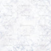 White Marble Wall Indelible Print Fabric Backdrop