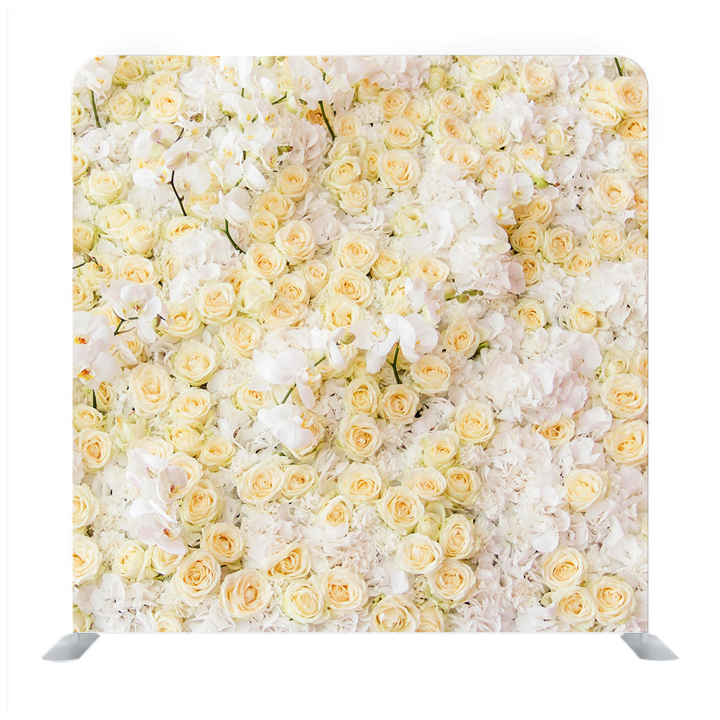 White chrysanthemum flower Media wall