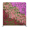 Flower Colored Wall Background Media Wall