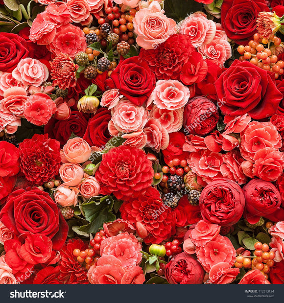 Red and Pink Rose Flower Print Photography Backdrop