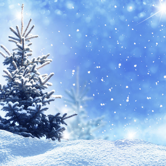 Winter Christmas Landscape Background